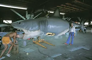 Valerie: JAWS, Mechanical Great White shark - Valerie Taylor