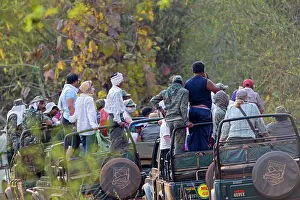 Tours: Jeep Safari in search of the Bengal Tiger