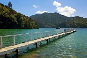 Sounds: Jetty - romantic Jetty at a bay at Queen Charlotte Sound
