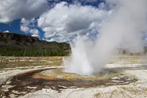 Metals: Jewel Geyser eruptingBiscuit Basin