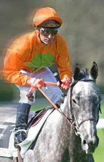 Jockey: Jockey - riding grey horse at Longchamp racecourse