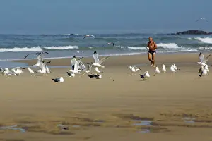 Jogging: Jogger - Running on beach