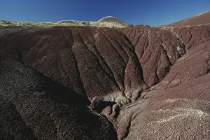 Oxidized: John Day Fossil Beds