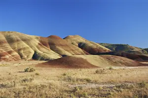 Oxide: John Day Fossil Beds