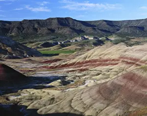 Oxide: John Day Fossil Beds