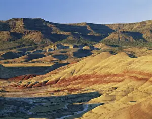 Tertiary: John Day Fossil Beds