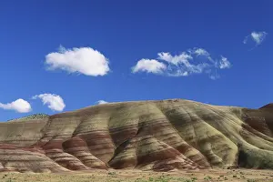 Tertiary: John Day Fossil Beds