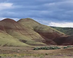 Tertiary: John Day Fossil Beds