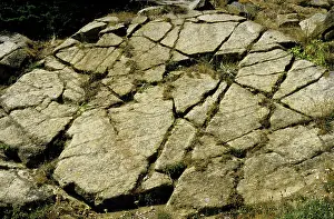 Ultramafic: Joints in ultramafic rock