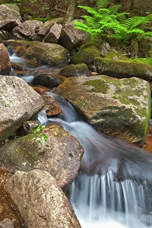 Acadia: Jordan Stream in Acadia National Park, Maine