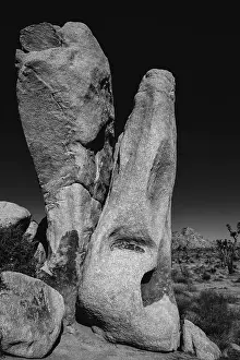 Zandria: Joshua Tree National Park, California