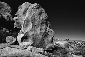 Zandria: Joshua Tree National Park, California