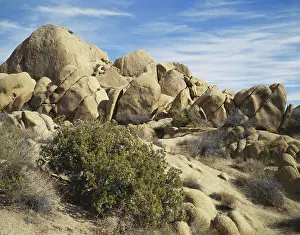Jointing: Joshua Tree Rock Formations