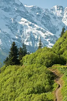 Murren: Jungfrau Region, Switzerland. Alping trail