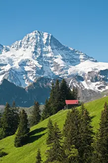 Murren: Jungfrau Region, Switzerland. Jungfrau massif