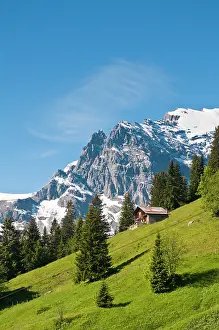 Murren: Jungfrau Region, Switzerland. Jungfrau massif