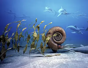 Models: Jurassic ocean