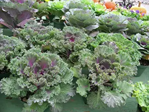Leafy: Kale
