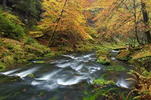 Kamnitz: Kamnitz Gorge Kamnitz Stream in autumn Kamnitz Gorge, B
