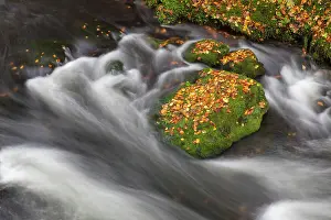 Kamnitz: Kamnitz Gorge Kamnitz Stream in autumn Kamnitz Gorge, B