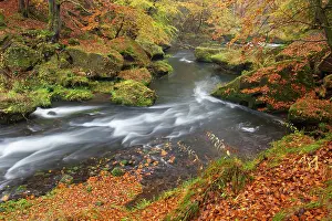 Kamnitz: Kamnitz Gorge Kamnitz Stream in autumn Kamnitz Gorge, B