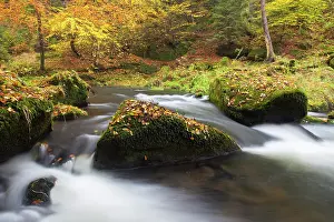 Kamnitz: Kamnitz Gorge Kamnitz Stream in autumn Kamnitz Gorge, B