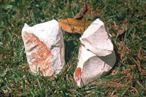 Hydrated: Kaolinite