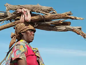 Firewood: Kavango woman carrying firewood on head