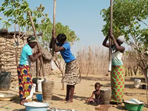 Pounding: Kavango women pounding grain at their homestead