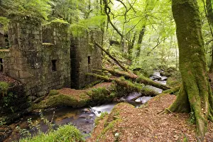 Vale: Kennall Vale