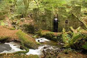 Vale: Kennall Vale