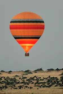 Toursim: Kenya - Hot air balloon, over savannah