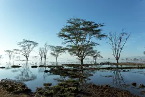 Catastrophe: Kenya, lake Nakuru, flooded in 2014