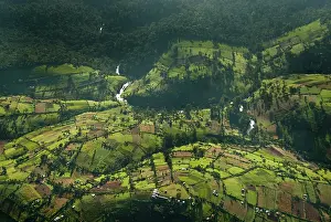 Plane: Kenya, Mau Forest, aerial view of Mara River