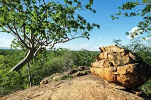 Kopje: Kenya, Meru national park, kopje