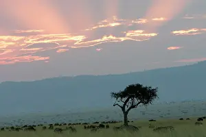 Countires: Kenya - Sunset over Maasai Mara National Park