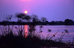 Williams: Kenya. Sunset reflects on water through
