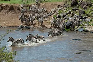 Triangle: Kenya, No Water No Life Mara River Expedition