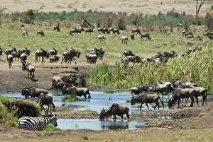 Triangle: Kenya, No Water No Life Mara River Expedition