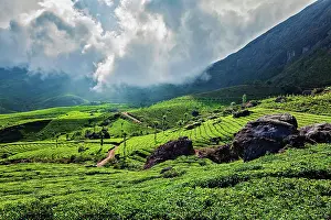 Plantations: Kerala India travel background, green tea plantations