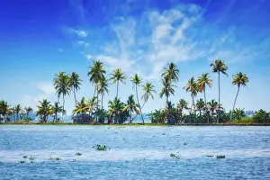 Backwaters: Kerala travel tourism background, Palms at Keral
