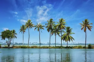 Backwaters: Kerala travel tourism background, Palms at Keral