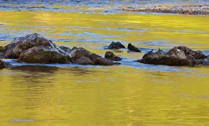 Kettle: The Kettle River reflects at Kettle River
