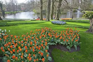 Visitors: Keukenhof with flowering Tulips