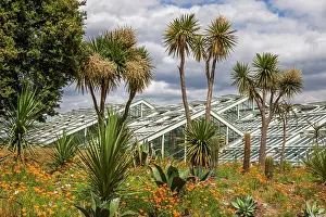 Conservatory: Kew Gardens. Prince of Wales Conservatory