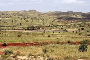 Afer: Key Afer - Amo Kofa area - South Ethiopia