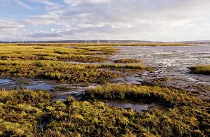 Wight: Keyhaven Marshes Nature Reserve, near Lymington