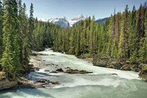 Kicking: Kicking Horse River - in spring floodYoyo National Park