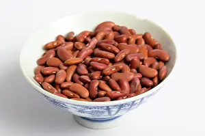 Kidney: Kidney Bean