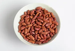 Kidney: Kidney Bean
